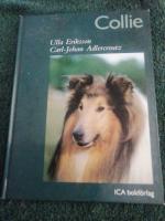 Collie