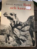 Rajd och Karavan