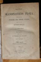 Skandinaviens flora