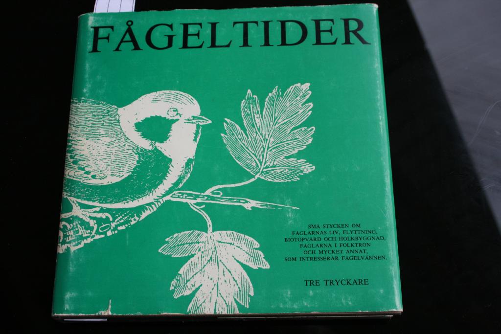 Fågeltider