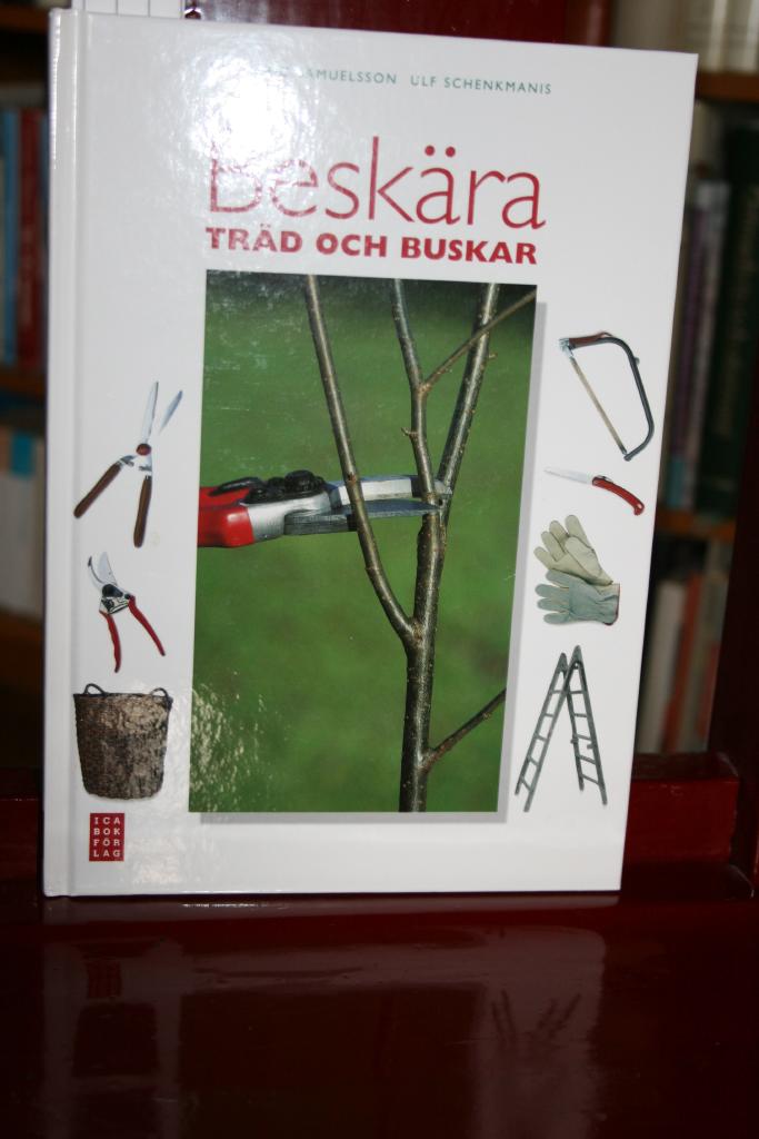 Beskära träd och buskar