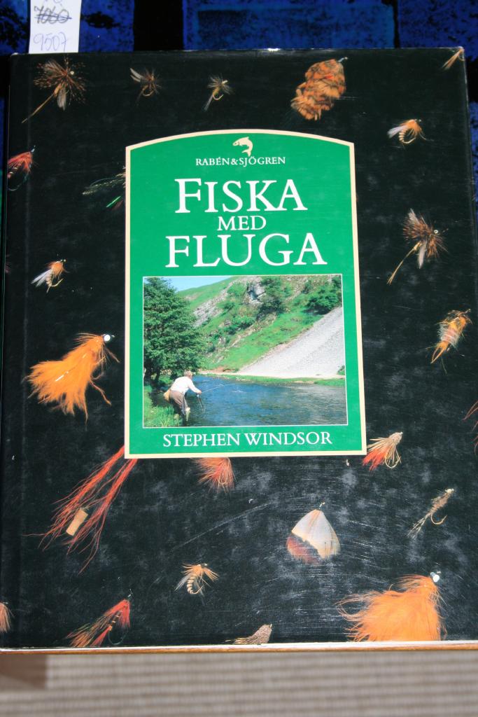 Fiska med fluga