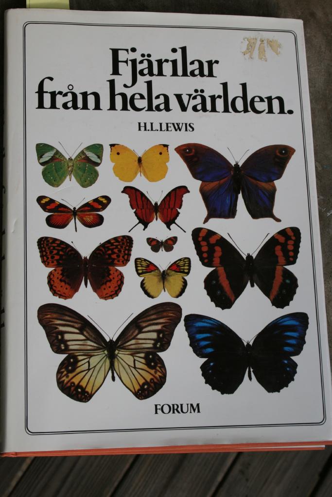 Fjärilar från hela v
