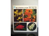 Blommande buskar