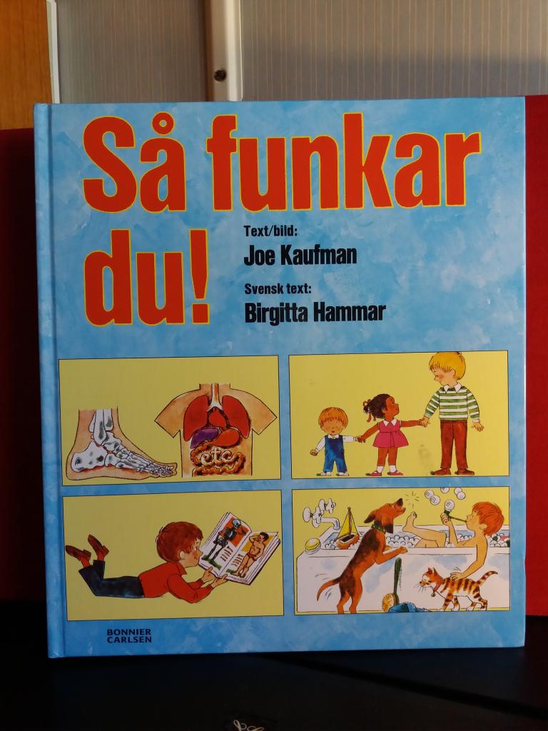 Så funkar du