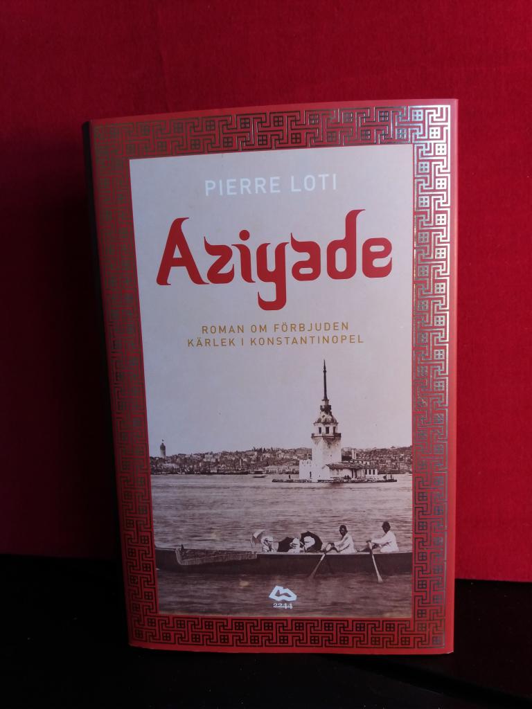 Aziyade : roman om förbjuden kärlek i Konstantinopel