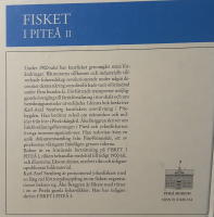 Fisket i Piteå. 2, Kustfisket under 1900-talet och Rönnskärs hamnlags handlingar