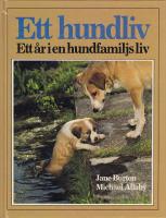 Ett hundliv Ett år i en hundfamiljs liv