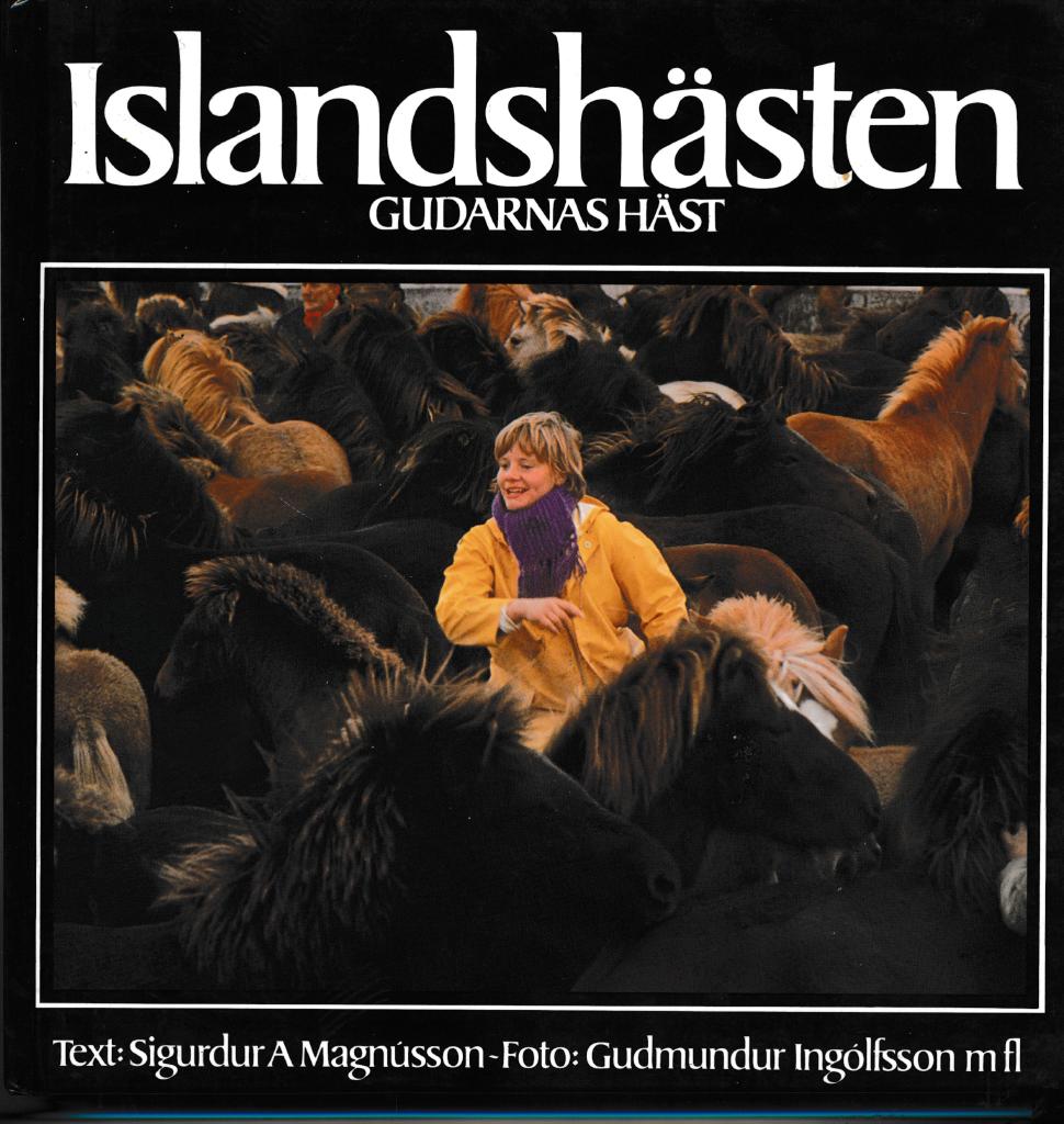 Islandshästen