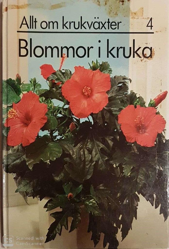 Allt om krukväxter 4. Blommor i kruka.